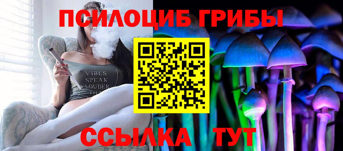 Кисловодск  Псилоцибиновые грибы Cubensis  Вход с VPN  Псилоцибиновые грибы Magic Shrooms 