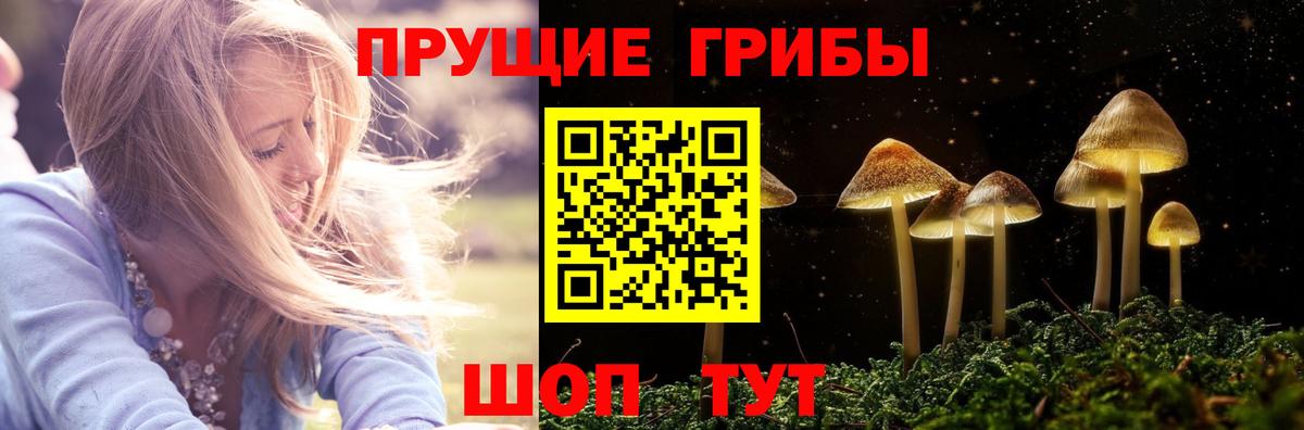 Галлюциногенные грибы прущие грибы Кисловодск